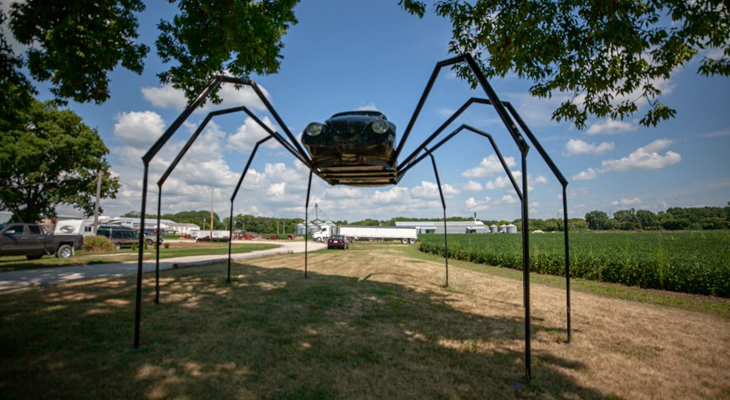 Volkswagen Beetle Spider