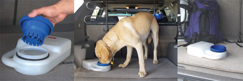 Have fresh water for your pets available