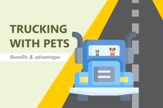 Truck Driving With Pets: Benefits and Advantages