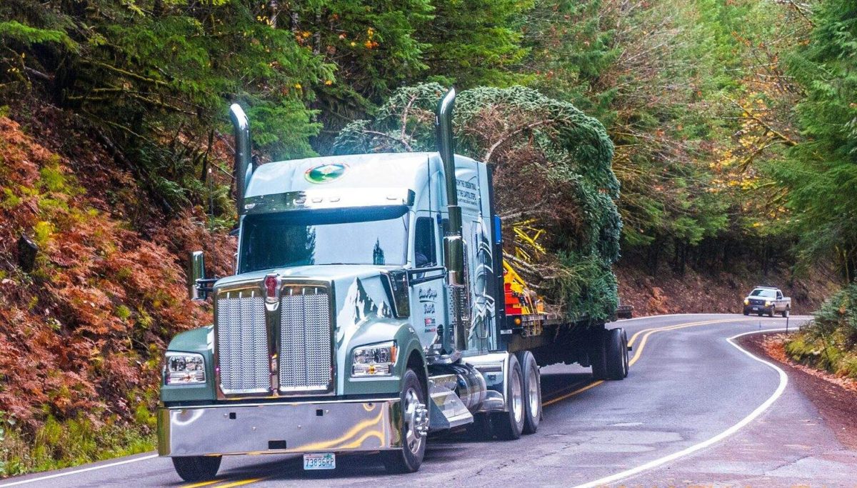 Flatbed Trucking Trees