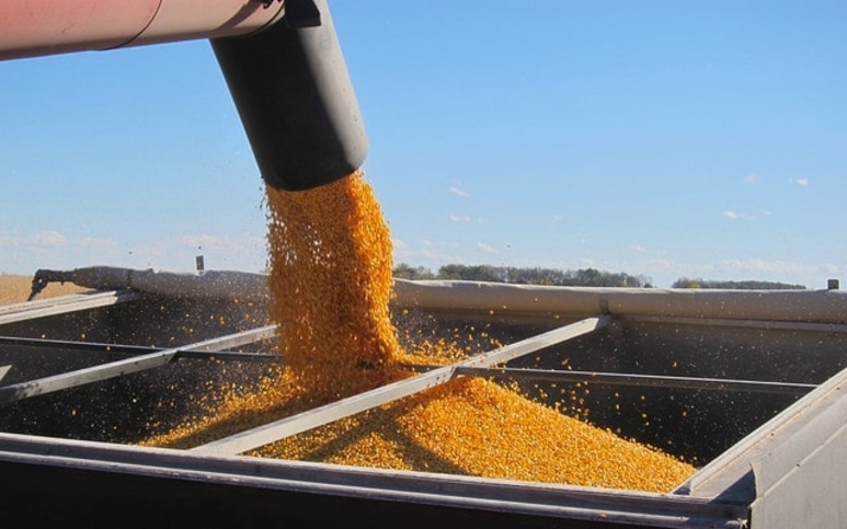 Colorado Corn Produce Trucking Demand