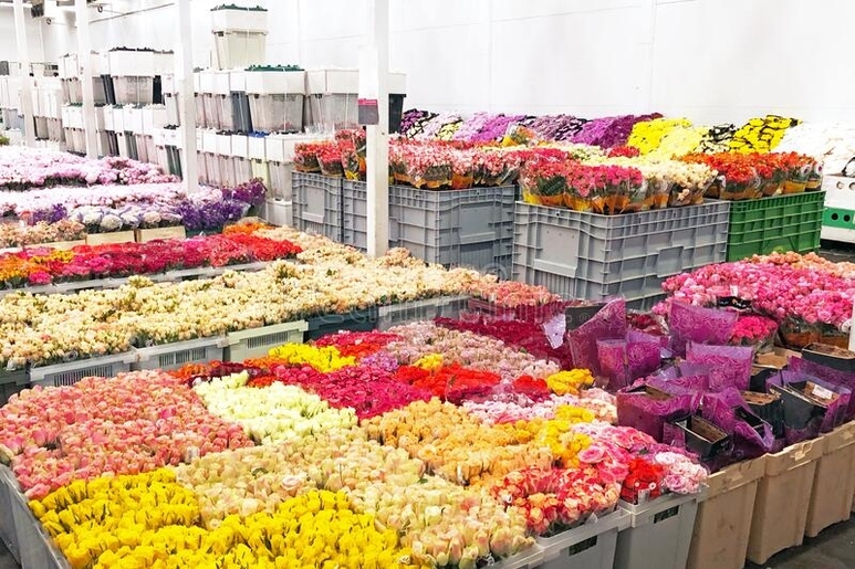 Connecticut Flowers Produce Trucking Demand 
