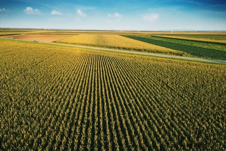 Illinois Corn Produce Trucking Demand