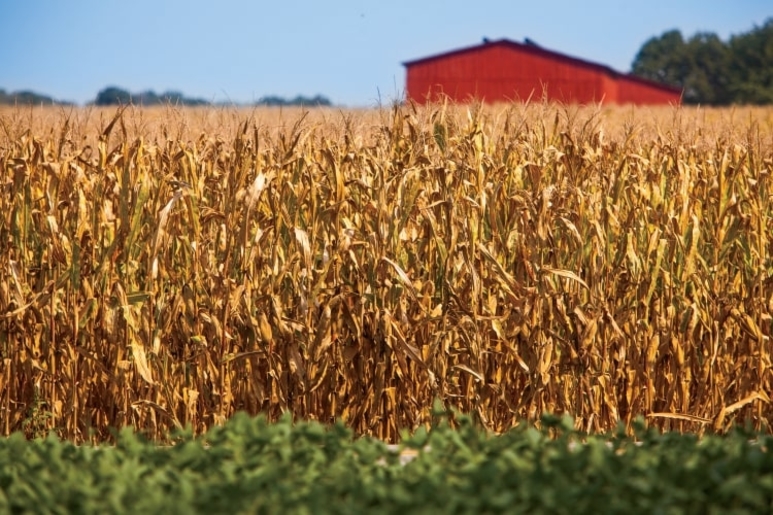 Indiana Corn Produce Trucking Demand