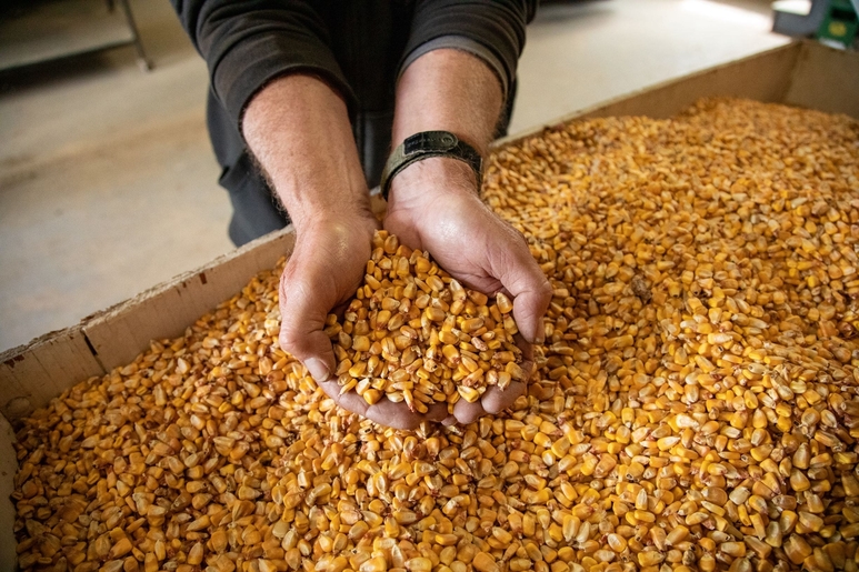 Kansas Corn Produce Trucking Demand