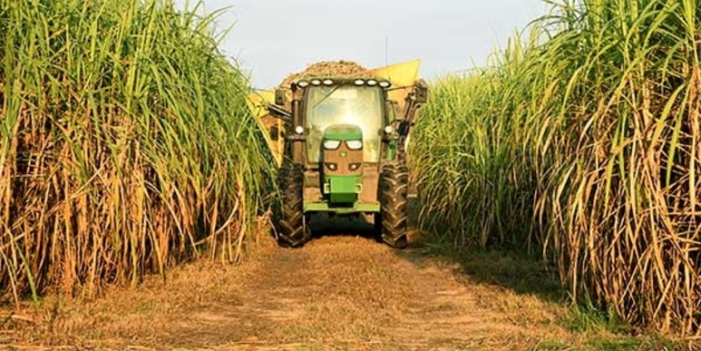 Louisiana Sugarcane Produce trucking Demand
