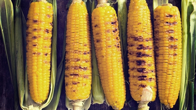 Maryland Corn Produce Trucking Demand