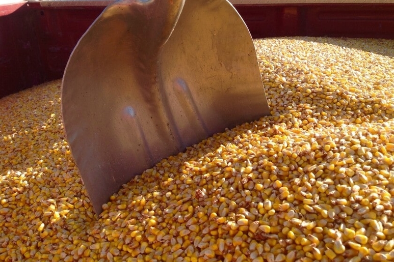 Minnesota Corn Produce Trucking Demand 