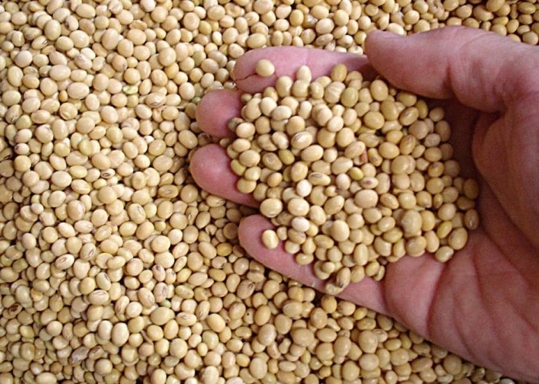Missouri soybean produce trucking demand