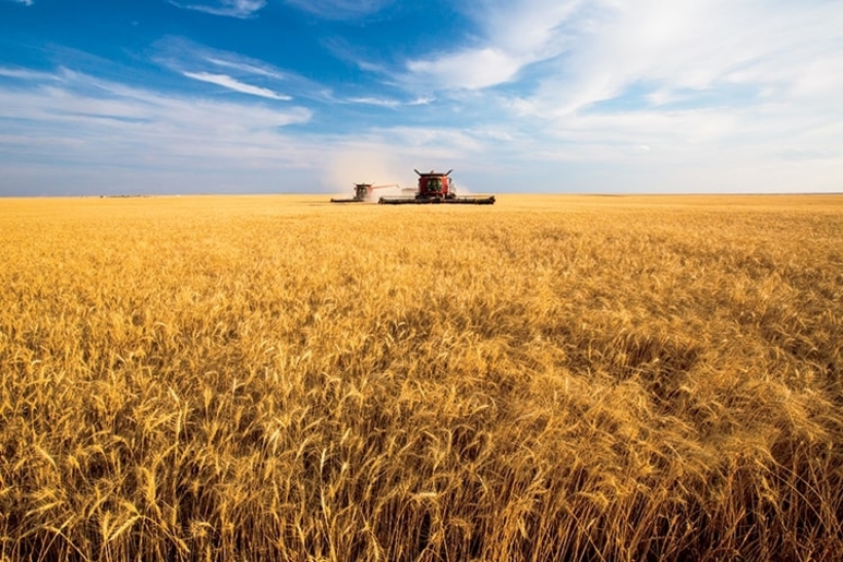 Montana Wheat Produce Trucking Demand 