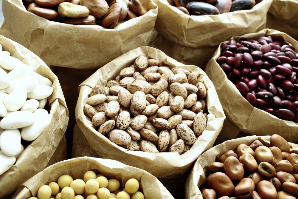north Dakota beans-produce trucking demand
