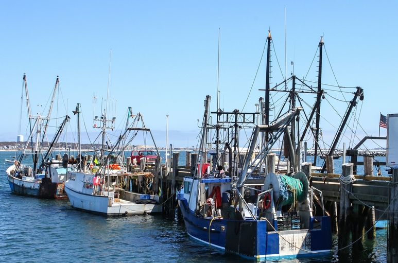rhode island seafood produce trucking demand