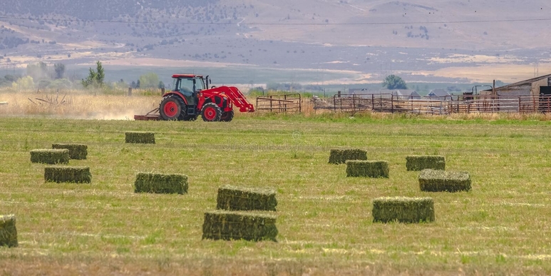 utah hay produce trucking demand