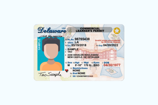 Commercial Learner's Permit (CLP) - What Do You Need To Know?