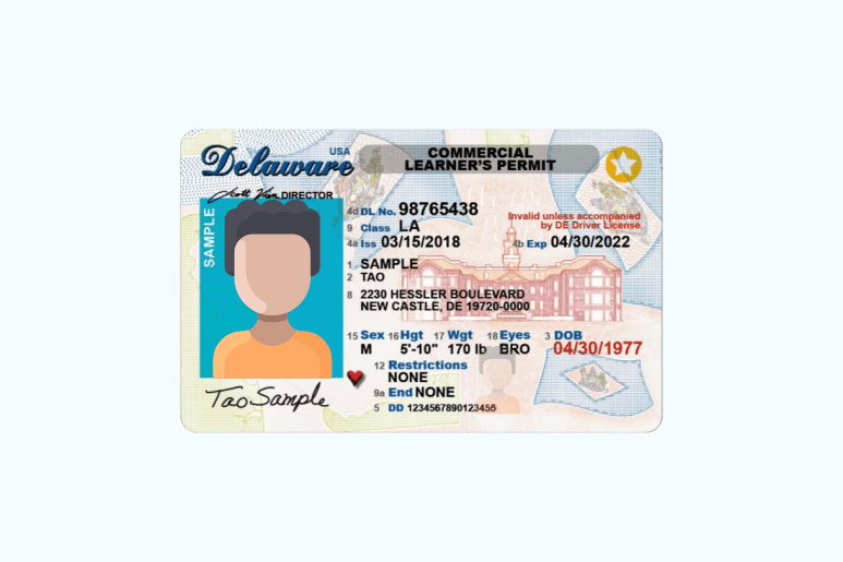Sample Learner's Permit License